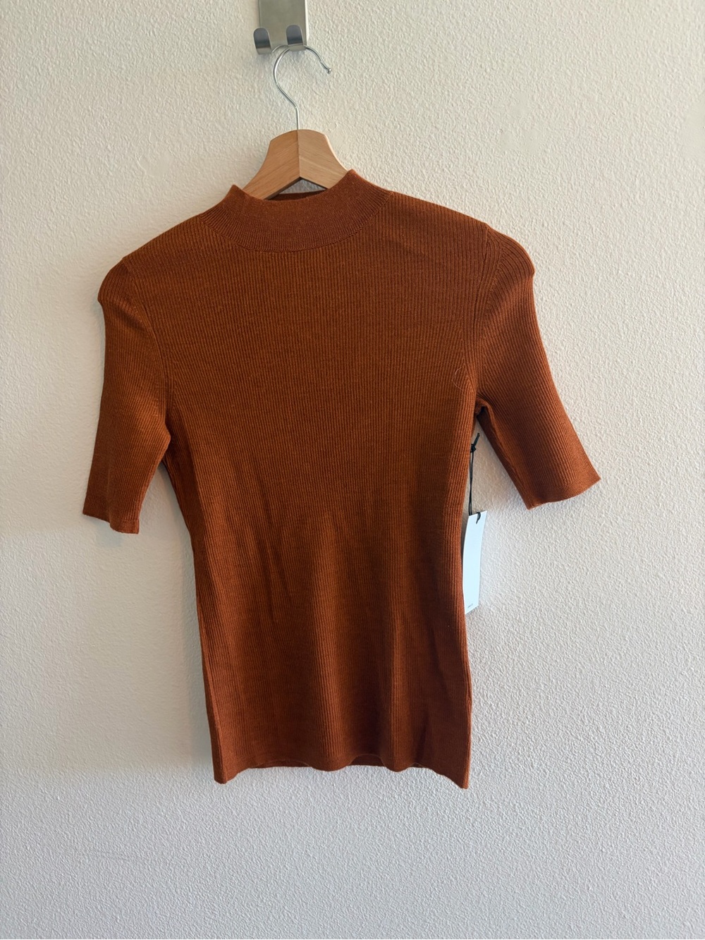 sskein Mock Ribbed Pullover Ultra Fine Alpaca Silk Rust NWT